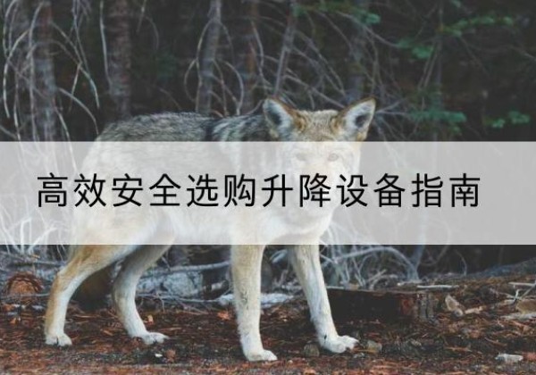 昆明升降货梯厂家推荐-*安全选购升降设备指南