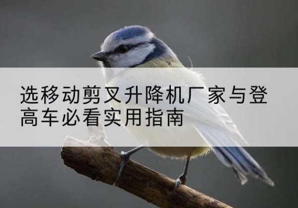 昆明电动升降机厂家-选移动剪叉升降机厂家与登高车必看实用指南