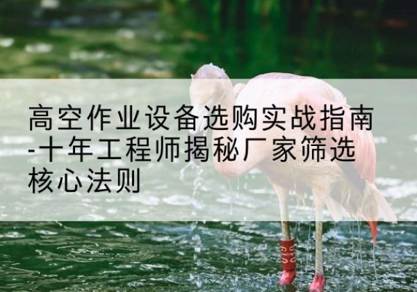 昆明剪叉式升降机厂家-高空作业设备选购实战指南-十年工程师揭秘厂家筛选核心法则